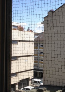 Window Protection (Paquis)