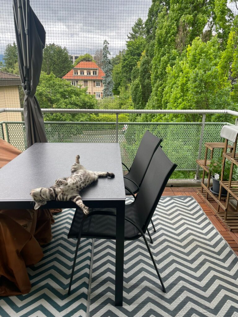 Balcon Chatons 01