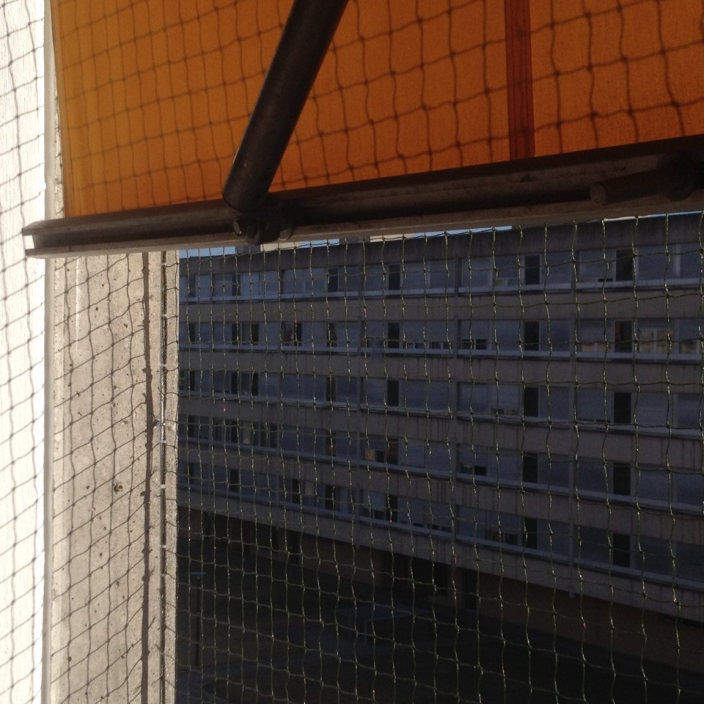 Cat safety net