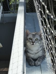 balcon avec filet transparent
