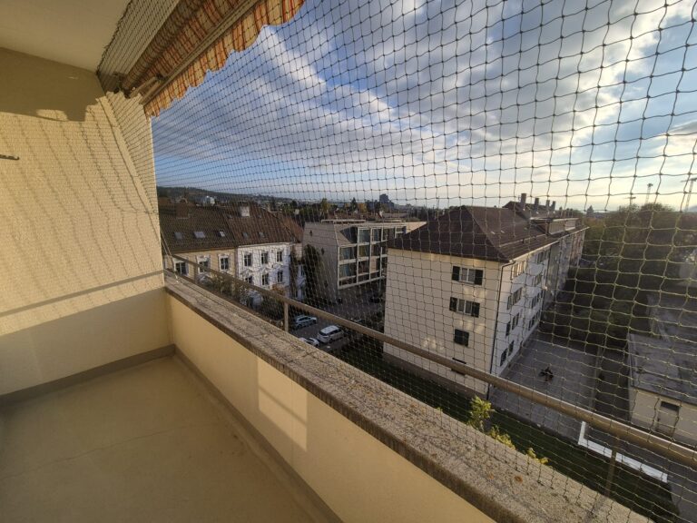 Protection Chat Balcon Bienne 02
