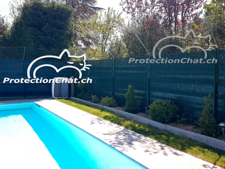 Protection Chat rehaussement de cloture 01