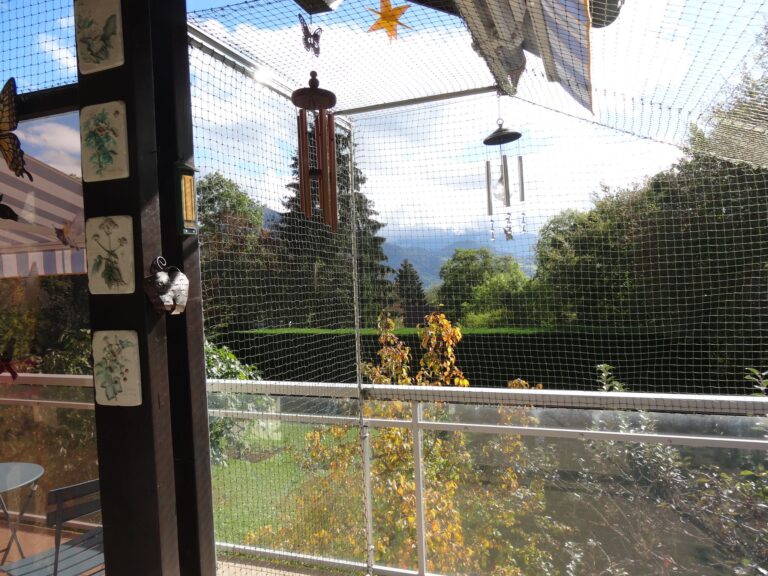 ProtectionChat Balcon Viuz 00