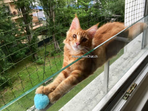 Protection Chat Témoignage Client