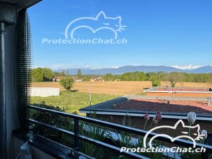 ProtectionChat Cadre Filet Coulissant XXL 02