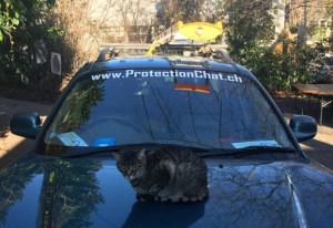ProtectionChat recommande