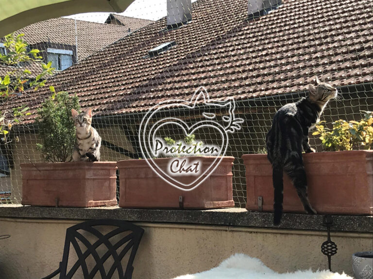 Terrasse Securisee ProtectionChat.ch 03