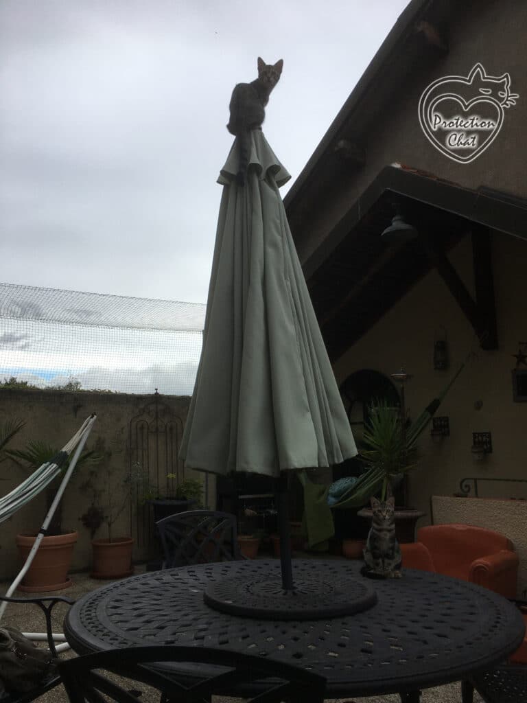 Secured Terrace ProtectionChat.ch 06
