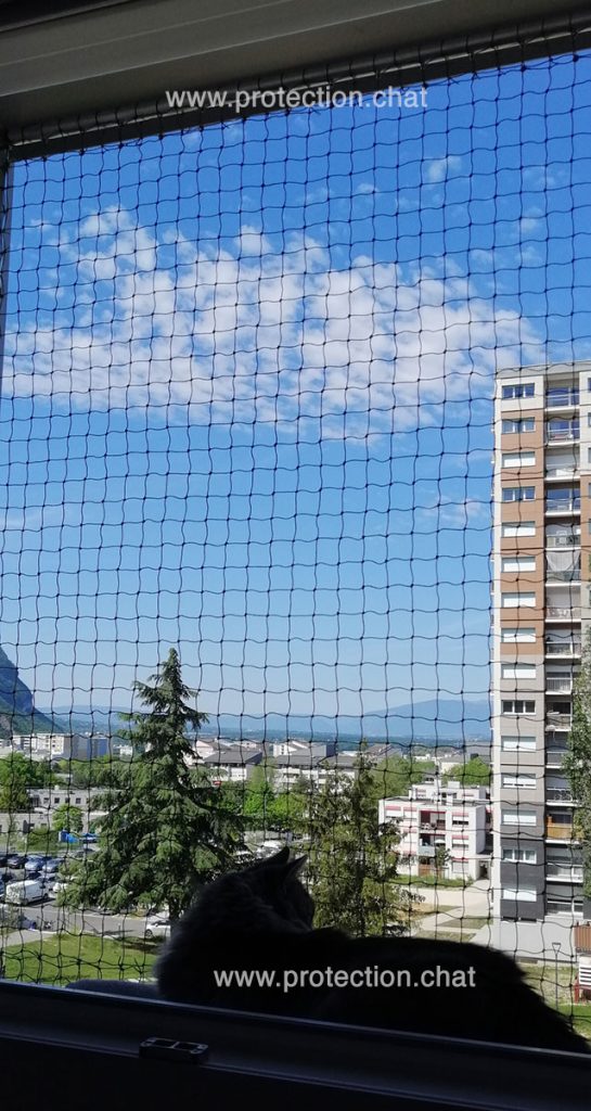 Tony P window safety frame