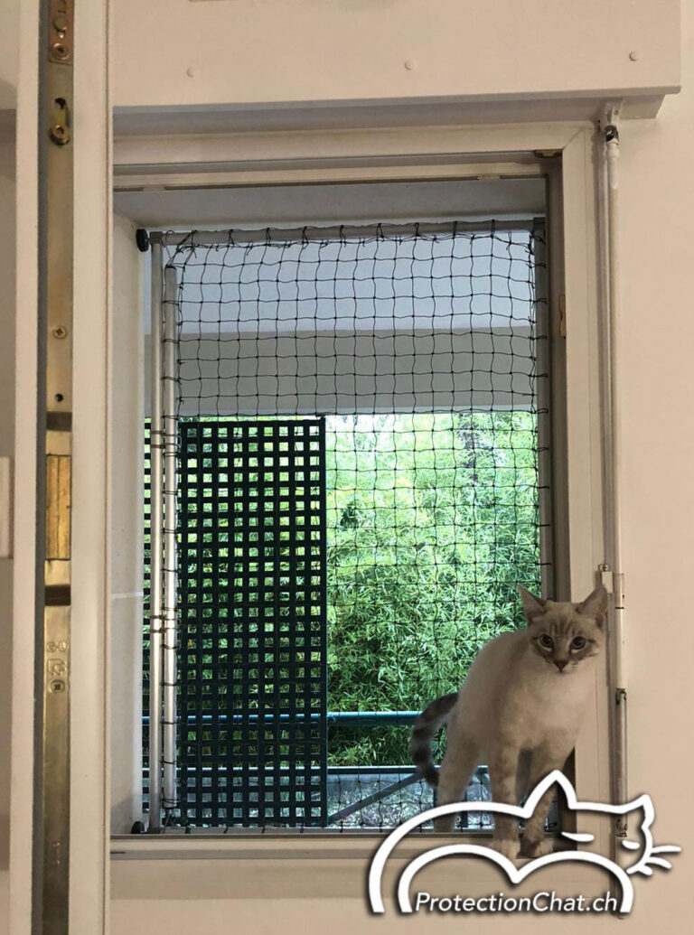 cat protection window frame 01