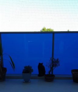 cat safety net glazed balcony
