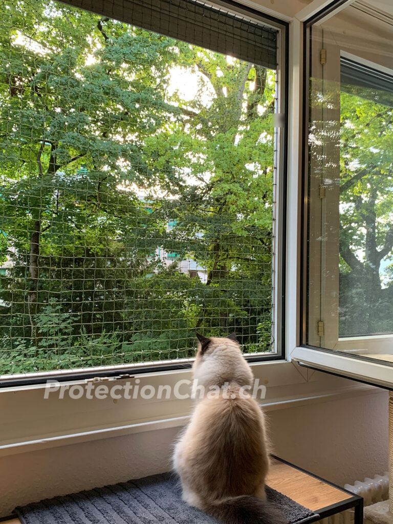 filet de protection pour chat fenetre 02