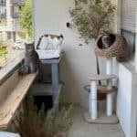 filet de protection pour chat sur balcon Martigny 01