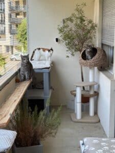 filet de protection pour chat sur balcon Martigny 01