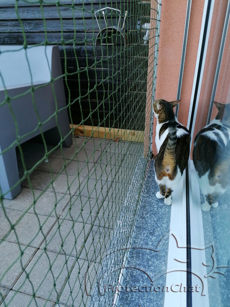 filet de protection pour chats sans percer de trous   4