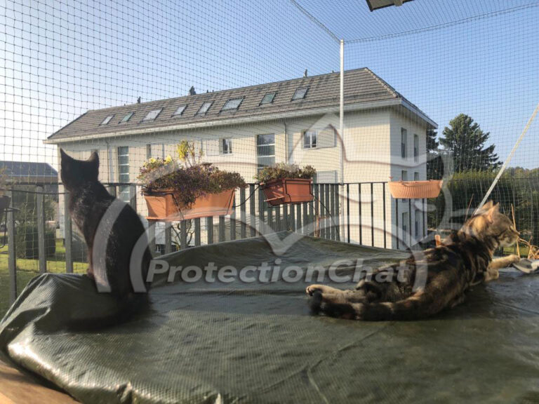 filet pour chat balcon sans percer de trous 20211017