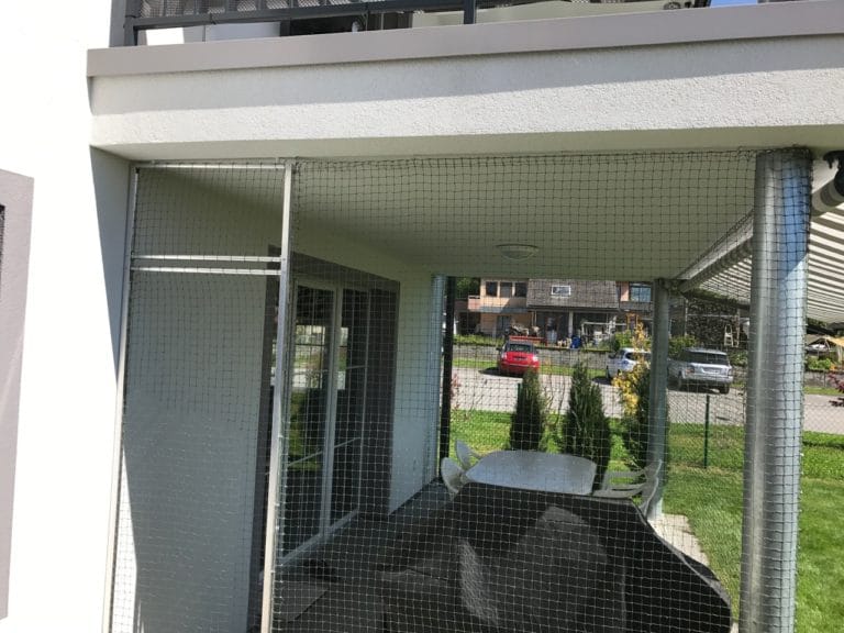 Protection Chat Sécurisation de terrasse avec porte
