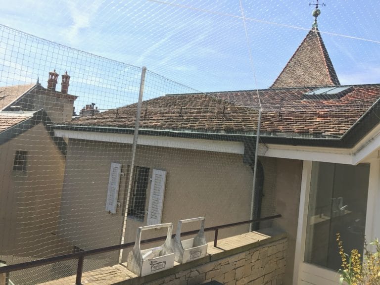Filet de protection pour chats Geneve Vieille Ville