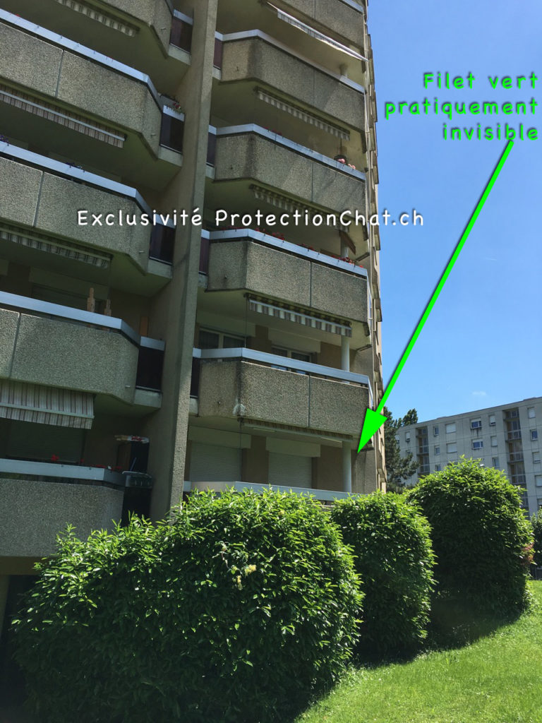 Protection chat: practically invisible green safety net