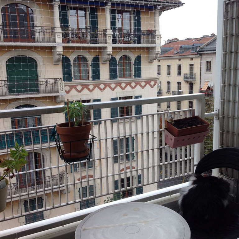 securite chat geneve 01